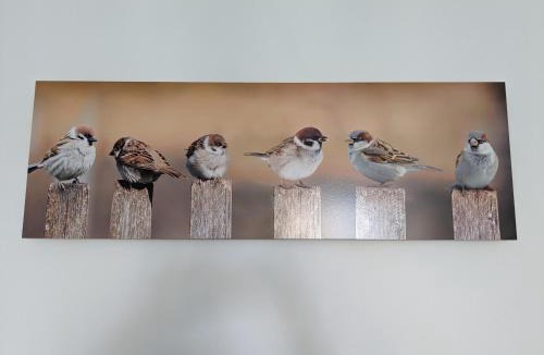 La Roche-Posay Apartment | Les Jolis Nids - Studio Moineau