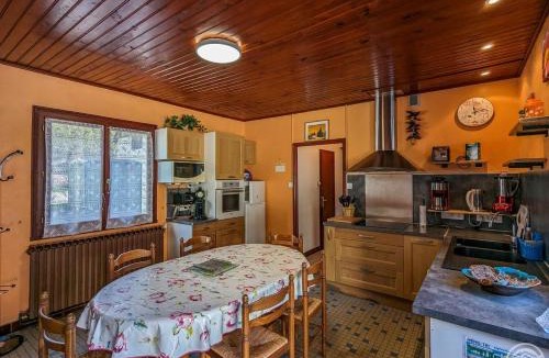 Cier-de-Luchon House | Les jonquilles et les narcisses