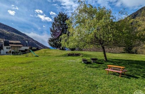 Cier-de-Luchon House | Les jonquilles et les narcisses