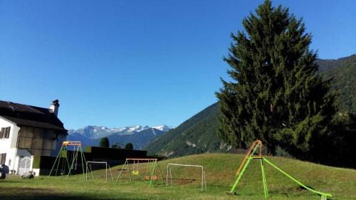 Cier-de-Luchon House | Les jonquilles