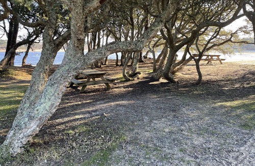 Soustons House | Les Landes Lodge