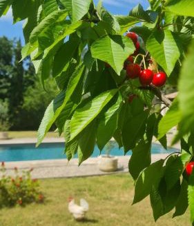 Meounes-les-Montrieux Bed & Breakfast | Les lauriers fleuris