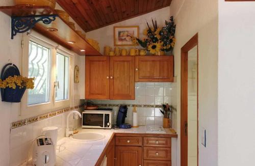 Sahorre House | Les lauriers