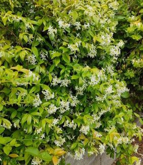 Heirs-Brouage Bed & Breakfast | Les Lavatères