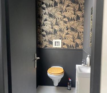 Tarbes Apartment | les lichens Tarbes