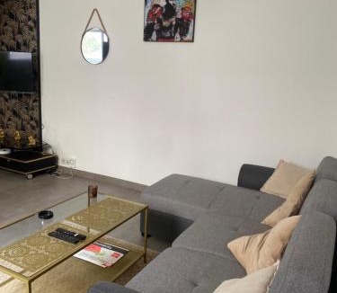 Tarbes Apartment | les lichens Tarbes