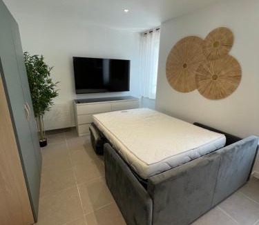 Sochaux Apartment | Les lionceaux