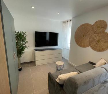 Sochaux Apartment | Les lionceaux