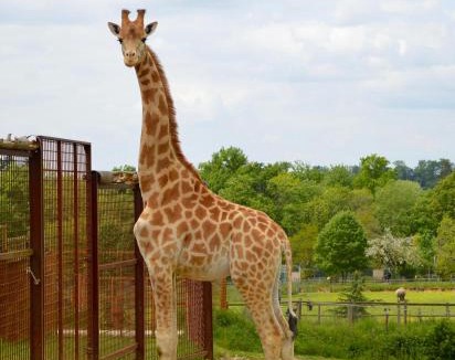 Le Vigen Cabin | Les Lodges Du Reynou