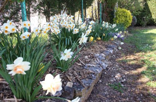 Nolay Hotel | Les Louchardes