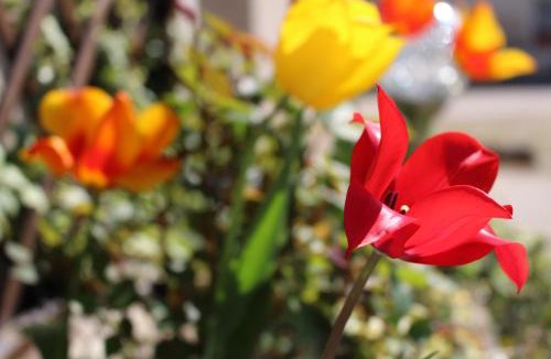 Nolay Hotel | Les Louchardes