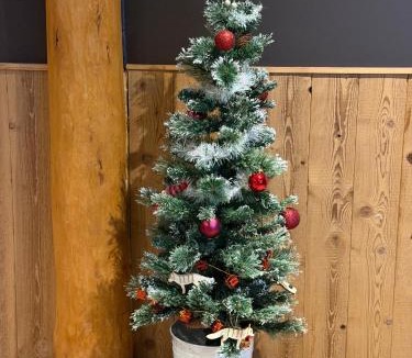 Travexin Ski Chalet | Les Loutrons
