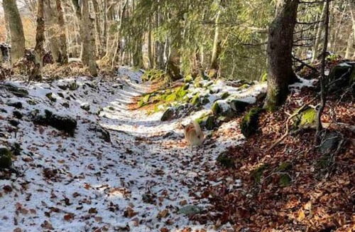 La Morte Apartment | Les Mélèzes