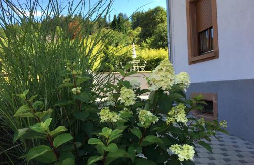 Barembach Apartment | Les magnolias en Alsace - meublé de tourisme 3 étoiles
