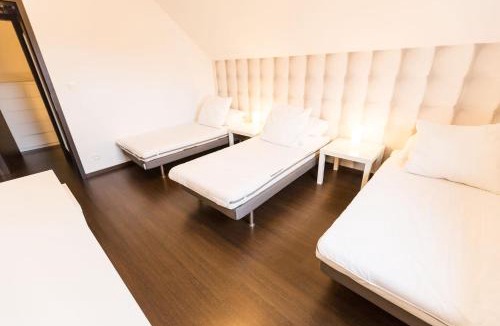 Griesheim-pres-Molsheim Villa | Les Maisons Solaires