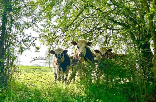 Putanges-le-Lac House | Les Maisons d'Auré