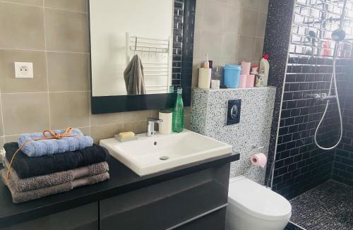 Le Pre-Saint-Gervais House | Les Marais 2