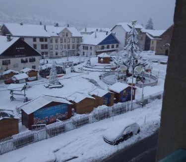 Gerardmer Apartment | Les Marmottes