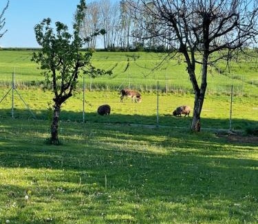 Savoisy Apartment | Les Marronniers