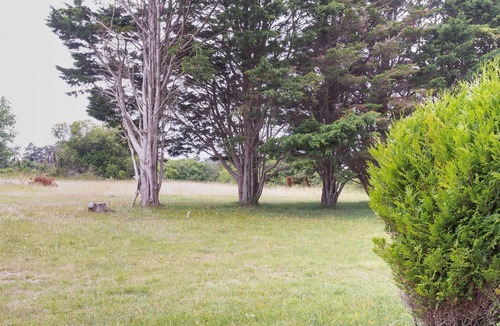 Saint-Remy-des-Landes House | Les mielles by Interhome