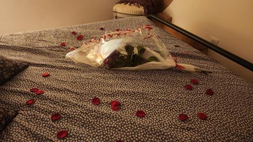 Saint-Aubin-de-Locquenay House | Les naturelles