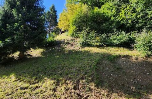 La Lechere Ski Chalet | Les nids chalet 4.5