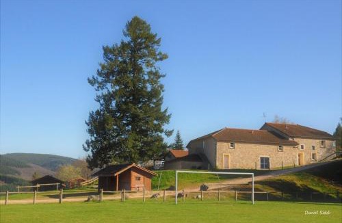 Les Noes Ski Chalet | Les Noës - Parc des chalets