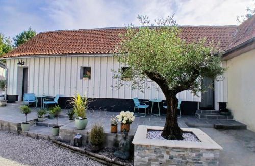 Cheriennes Bed & Breakfast | Les Oliviers