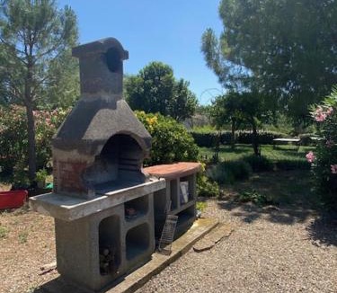 Montagnac Apartment | Les Oliviers