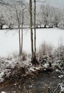 Ravilloles Apartment | Les orangers