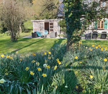 Touffreville-la-Corbeline House | les orchidees sauvages