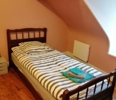 Picauville House | Les orchidées