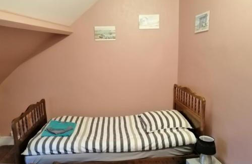 Picauville House | Les orchidées