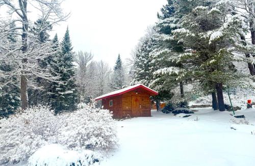 Sainte-Marguerite-du-Lac-Masson Bed & Breakfast | Les Oursons Bed and Breakfast