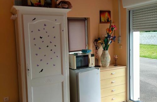 Chasnais House | Les papillons roses