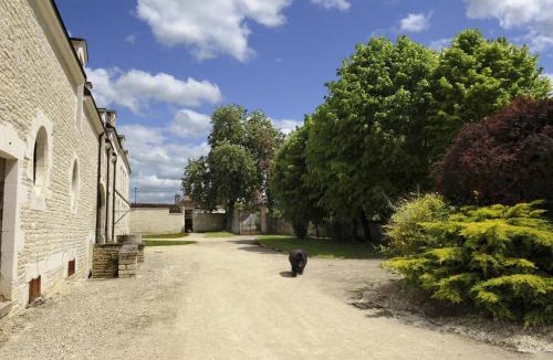 Les Riceys House | Les perrieres