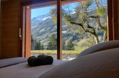 Les Villards-sur-Thones Ski Chalet | Les Picaillons - Le Chalet