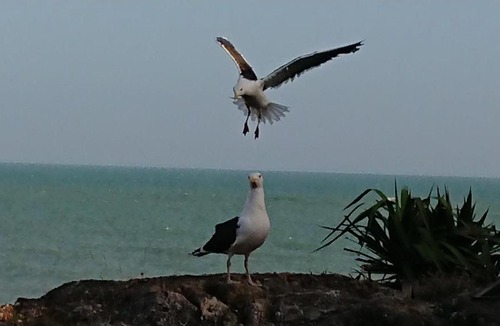 Loctudy Apartment | Les pieds dans l'eau