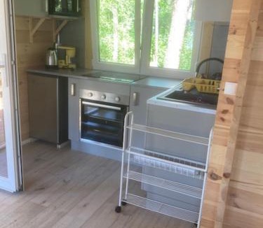 Excenevex Ski Chalet | Les Pins