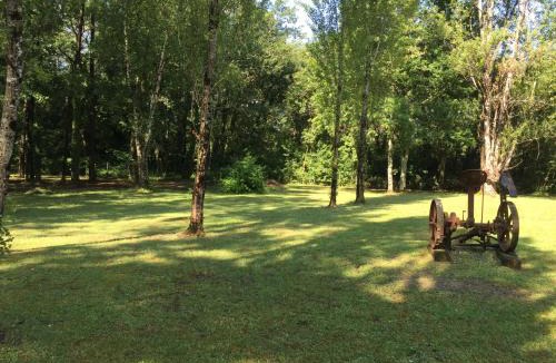 Saint-Ciers-dAbzac Bed & Breakfast | Les Pins Perdus