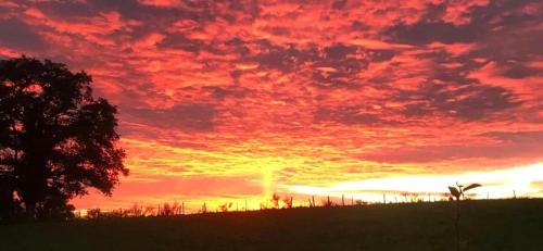 Saint-Priest-le-Betoux Bed & Breakfast | Les Pipistrelles de Planechaud