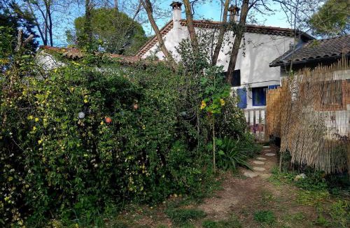 Bagard House | Les Pipistrelles