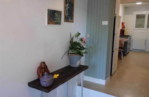 Aignes House | Les platanes