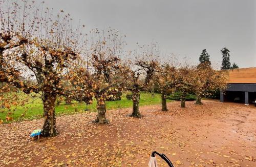 Gorrevod House | Les Platanes