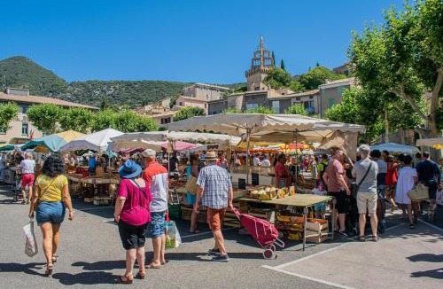 Nyons Apartment | Les Platanes