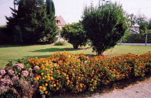 Angerville-la-Martel House | Les Pommiers - Angerville LA Martel