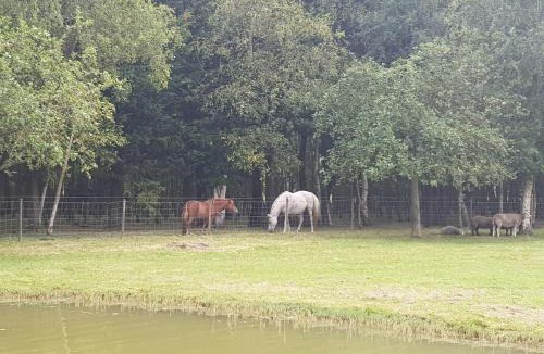 Saint-Quentin-en-Tourmont House | les portes des Froises
