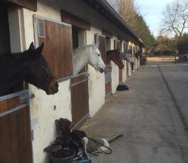 Chailly-en-Biere Bed & Breakfast | Les Prémices De La Forêt