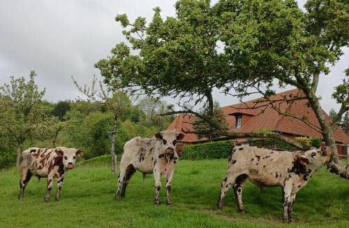 Courtonne-la-Meurdrac Bed & Breakfast | Les Prés Rousselins en Pays d'Auge