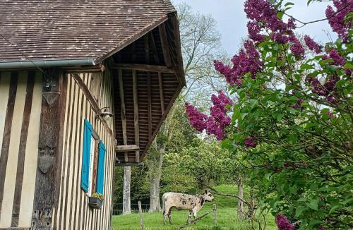 Courtonne-la-Meurdrac Bed & Breakfast | Les Prés Rousselins en Pays d'Auge